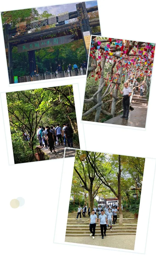 踏秋的N种方式，不如直奔天目湖！(图2)